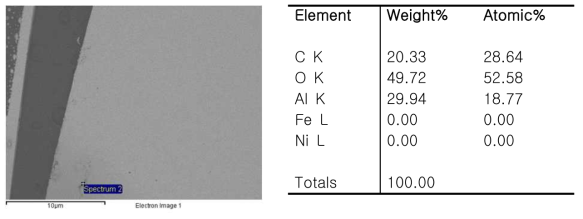 SEM image and EDX result of invar surface with nmp treatment