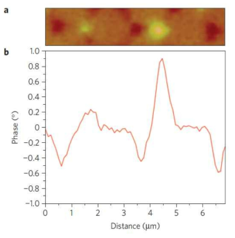 The Creation of monopole defects a, b, MFM image (a) and linescan (b) in zero field