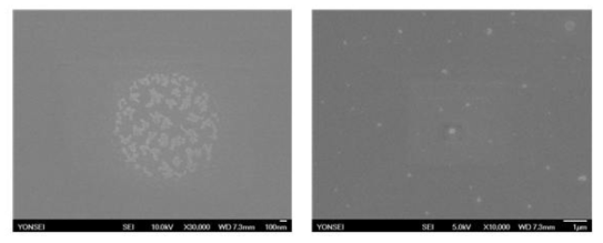 NF3 / H2O 건식 세정 이후 Si(100) 시편의 SEM image (a) watermark (b) residue island