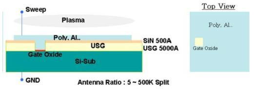 SPDM(Simple Plasma Damage Monitoring) 구조