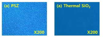 건식세정 이후 PSZ, Thermal SiO2 광학현미경 사진