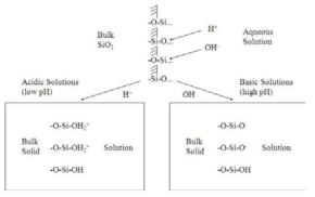 solution pH에 따른 Si 표면 거동