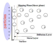 입자-기판 사이의 zeta potential에 의한 거동