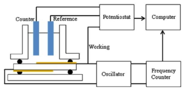 입자 세정력을 평가하기 위한 electrochemical quartz crystal microbalance 시스템