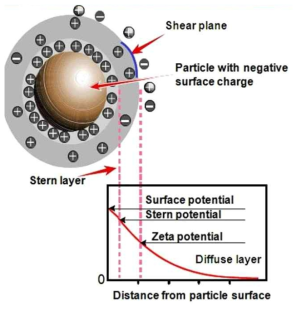 Schematic diagram of potential differences with the distance from particle surface.