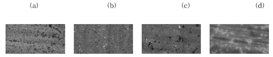 FE-SEM images of invar substrates