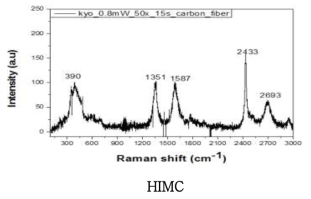 탄소섬유 페이퍼의 Raman 스펙트럼.