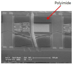 폴리이미드 공정이 적용된 SLD의 표면 사진
