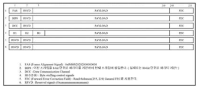 10G FEC Frame 구조