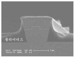 폴리이미드 코팅 및 scribing 후의 단면 사진