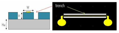 Polymer 칩의 Trench 구조