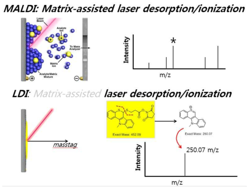 광분해성 질량태그 분석시 활용되는 Laser Desorption Ionization(LDI)와 Matrix-Assisted Laser Desorption Ionization (MALDI)의 비교 모식도