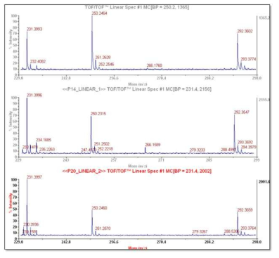 바이오틴-검출항체와 질량태그-스트렙타비딘을 이용한 바이오마커 CEA의 검출: 231m/z는 내부표준물질, 질량태그-항체(SP-10)를 이용한 동시검출 (250m/z)