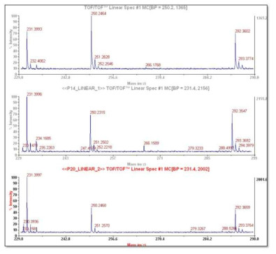 다중마커 동시 검출의 예1: MLISA법을 동시에 수행하고 바로 용출하여 질량분석을 수행한 결과 (내부표준물질: 231m/z, 질량태그250-SP10: 250m/z, 질량태그292-CEA: 292m/z)