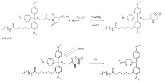 트리틸 기반 태그의 사용 예 (출처: Thiery et al., Rapid Comm. Mass Spect. 2007, 21, 823)