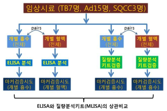 동일환자로부터 유래된 혈액/흉수 시료와 개발 마커를 대상으로 ELISA와 MLISA를 상관 비교하는 모식도