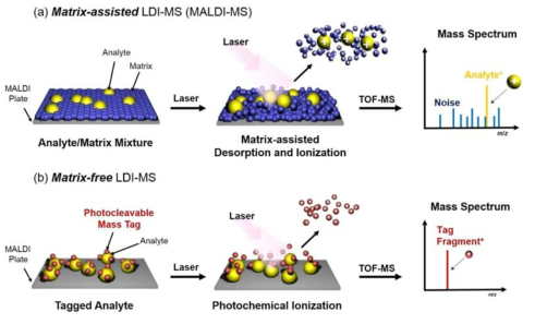 MALDI-TOF MS 와 Matrix-free LDI-MS 기술의 비교