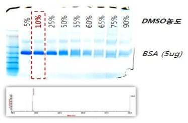 단백질의 변성을 최소화하는 DMSO용매농도 결정 및 질량태그의 콘쥬게이션 확인실험 결과