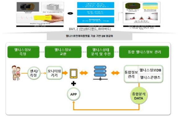 웰니스휴먼케어플랫폼 기반 Business Models 발굴