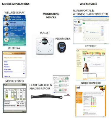 개인건강관리를 위한 시스템(출처: Mattila 등(2013))