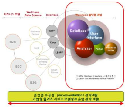 웰니스 서비스 개발 방향