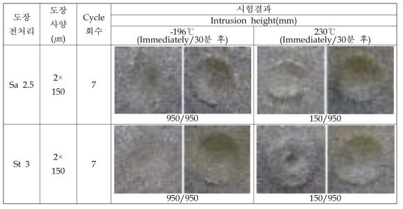 극저온-고온 Cycle에 따른 도막 충격저항성 시험 후 도막 표면