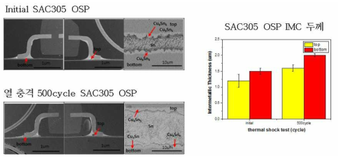 SAC305 OSP 초기 및 열 충격 후 단면 및 IMC 두께 분석