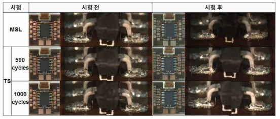 3차년도 플렉시블 센서모듈 쿠폰의 초기 외관분석 사진