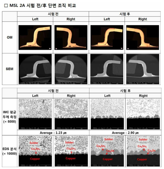 3차년도 MSL 시험 후 솔더 접합부 단면분석 사진