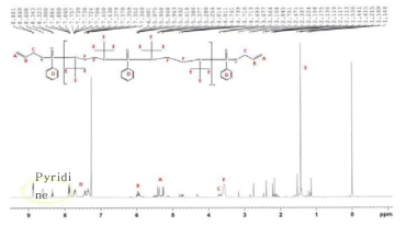 PPDC와 N,N’-di-tert-butylethylenediamine & allylamine bulk 합성 결과-¹H NMR spectra