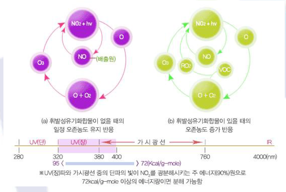 광화학반응에 의한 오존생성 시작