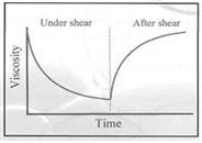 Thixotropy : shear rate에 의한 점착제의 점도 변화 후 점도회복현상