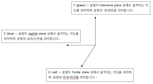 각 관절에서의 운동 가동 범위