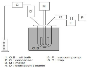 BSR Reactor schemetic diagram