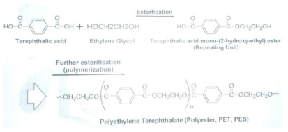 고발색성을 위한 개질 Polymer 중합 구조도