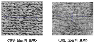 Fiber Surface 비교