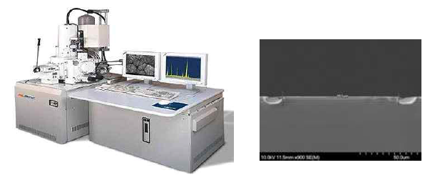 전자현미경(SEM) 및 단면 사진