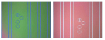 Photolithography 공정(Stripe 패턴 형성) (좌: stripe 폭 형성을 위해 패턴 형성-blue line이 SiO2가 노출됨) (우: SiO2 식각 후 사진-white line이 SiO2 에칭 후 패턴)