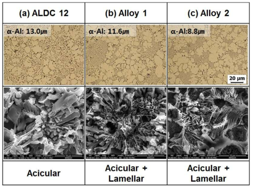 범용 ALDC12 및 개발합금의 미세조직 및 Si 형상