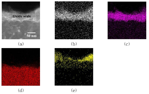 개발 합금의 산화막에 대한 원소별 STEM/EDS Mapping 분석 (a) STEM 이미지, (b) O, (c) Mg, (d) Al, (e) Ca