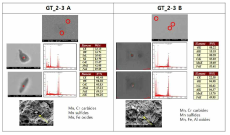 GT_2-3A 및 GT_2-3B 적용 용접부 내 비금속 개재물 SEM 분석결과