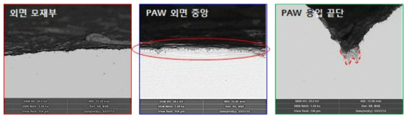 BSE Image 관찰 결과