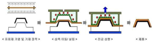 Female(메스비키) 진공성형 계략도