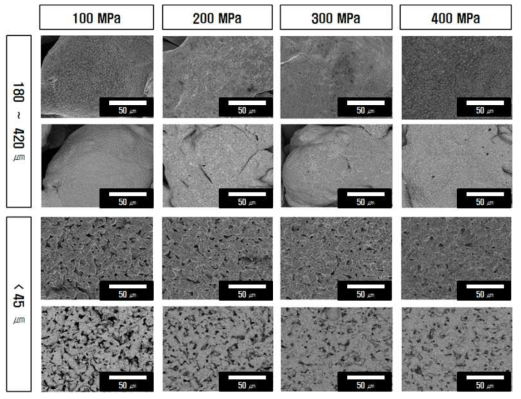 성형압력에 따른 STS316L 소결체의 미세구조 변화(소결온도 1260 ℃)