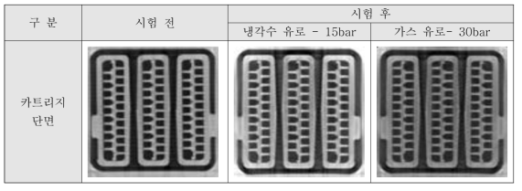 CT 촬영 결과