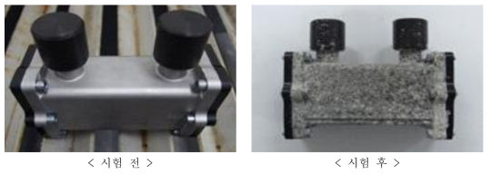 염수분무시험 전·후 시료
