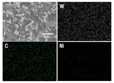 WC-3wt%Ni 소결체의 mapping 결과