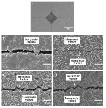 (a)비커스 경도 indentation, 소결체의 크랙전파 양상 : (b)WC, (c)WC-3wt%Fe, (d)WC-3wt%Ni, (e)WC-3wt%Co