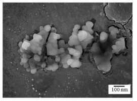 20nm SiC가 함유된 복합재의 SEM 분석 결과