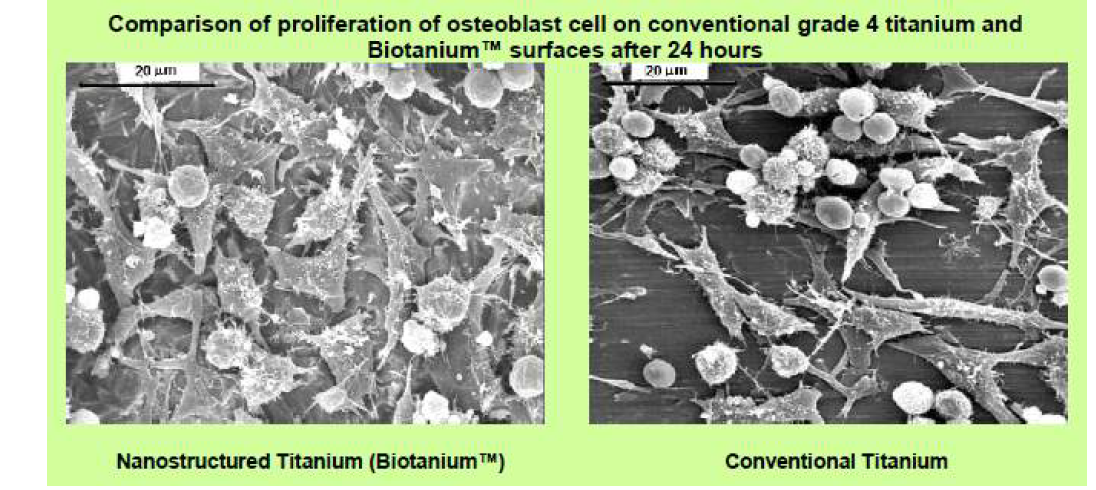 Biotanium의 in vitro 특성
